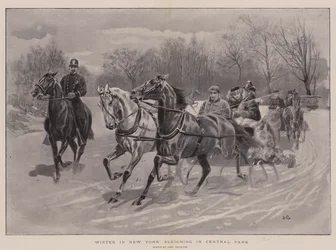 Winter in New York, Schlittenfahren im Central Park